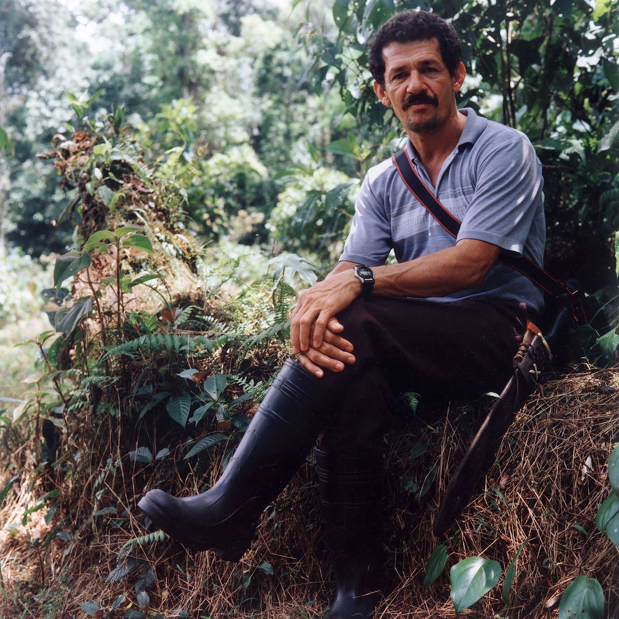 José, Rara Avis